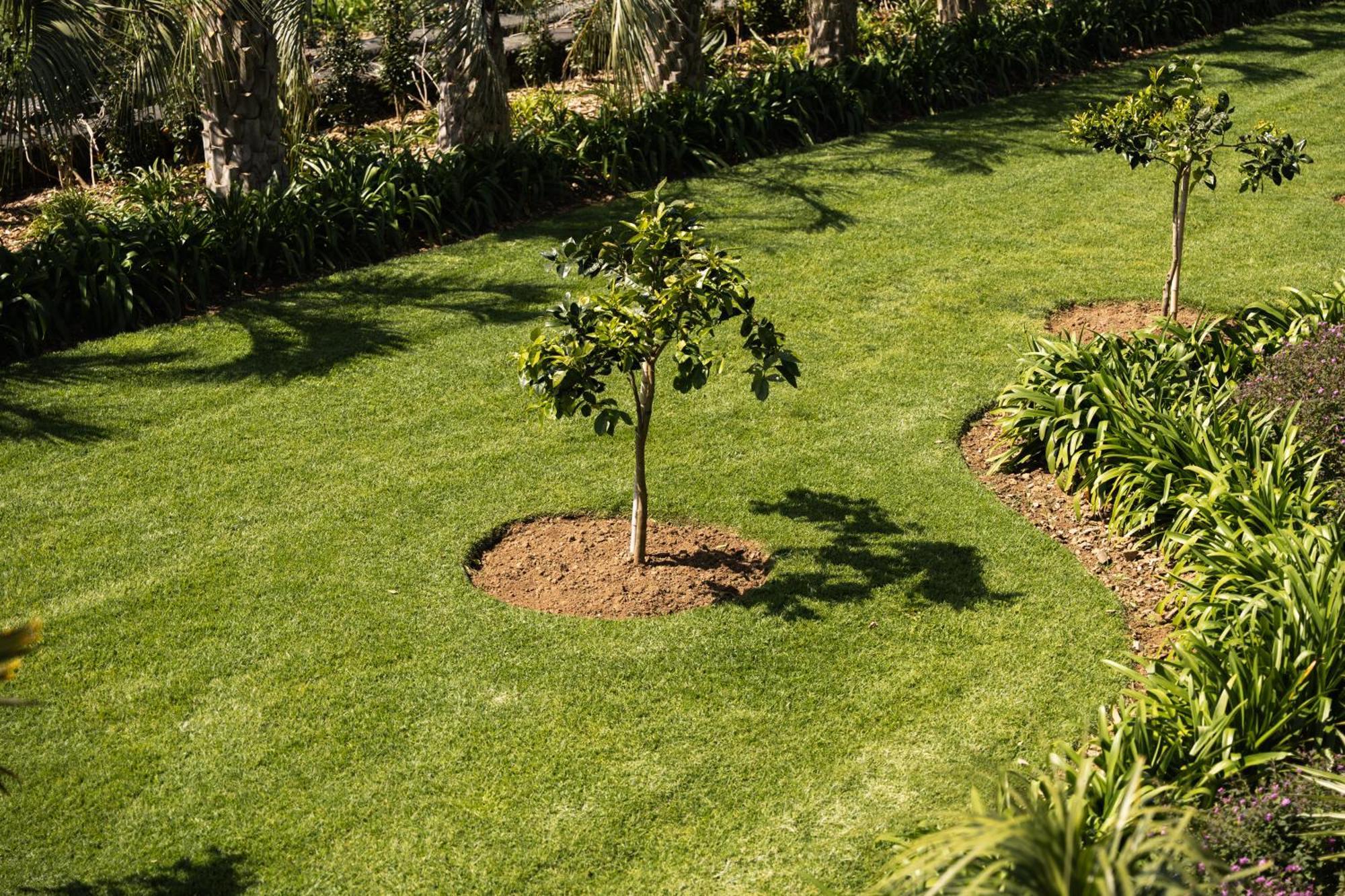 Azores Homes Resort & Spa Ponta Delgada Dış mekan fotoğraf